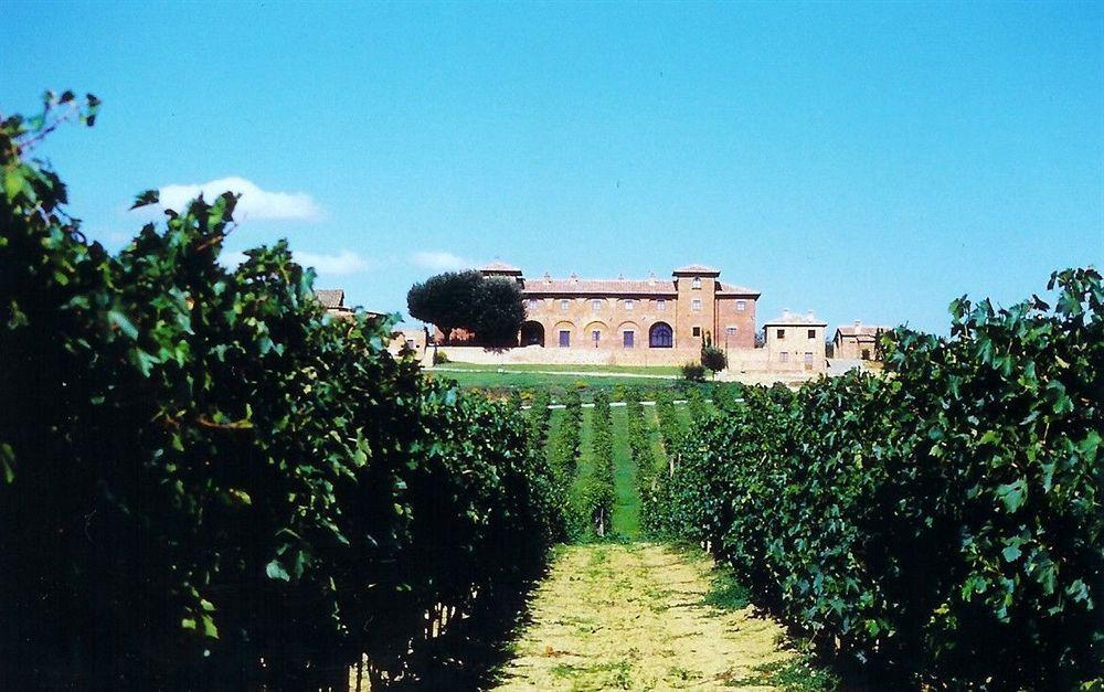 Agriturismo Terra Rossa Valiano Exteriér fotografie