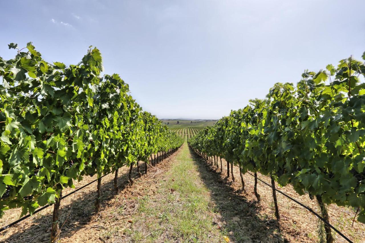 Agriturismo Terra Rossa Valiano Exteriér fotografie